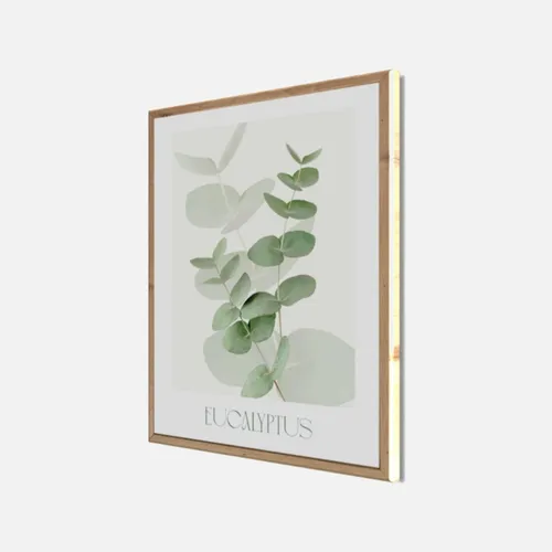 Wandbild gerahmt EUCALYPTUS 40 x 50 cm – Botanik Wanddeko Boho Scandi