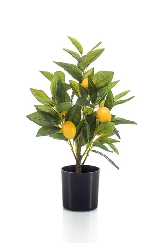 artplants.de Deko Zitronenbaum UALANI 40cm – Kunstbaum mit Früchten - Dekorativ und lebendig: Der UALANI Zitronenbaum bringt frischen Flair in Ihr Zuhause. Mit seinem Kunststamm und den leuchtenden gelben Früchten ist er ein echter Hingucker für jeden Raum.