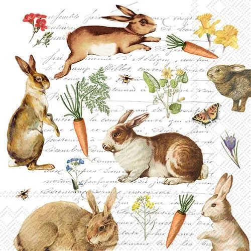 Servietten Hare Hunt Hasen Karotte Schrift Tiere Schrift Vintage Deko 33x33cm 20