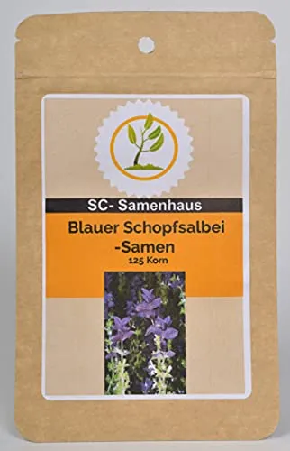 Blauer Schopfsalbei Salvia horminum 125 Samen SC-Samenhaus