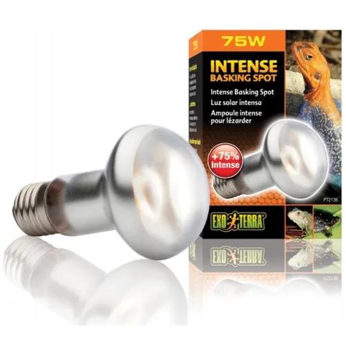 W Intense / Intensive Basking Spot