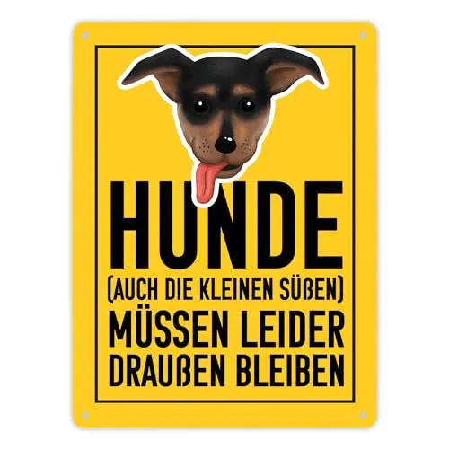 Hunde (auch die kleinen Süßen) müssen draußen bleiben Metallschild XL in 21x28 cm witziges Blechschild für Ladenbetreiber die kleine Hunde mögen sie aber trotzdem nicht im Laden