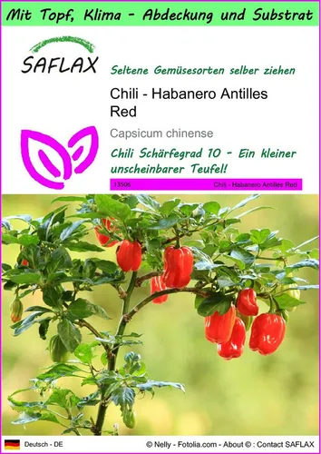 SAFLAX Gemüsesamen SAFLAX - Garden to go - Chili - Habanero Antilles Red
