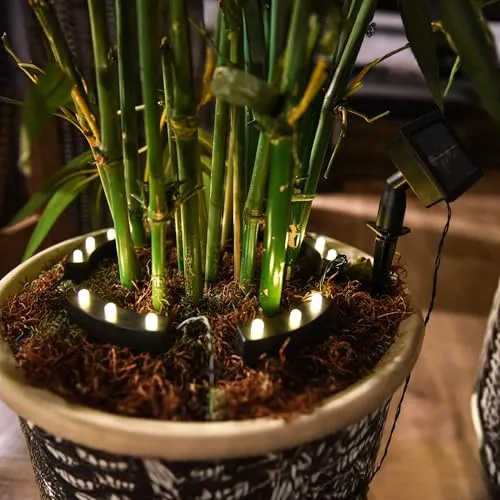 LED Solar Blumentopf Beleuchtung mit 8 Funktionen