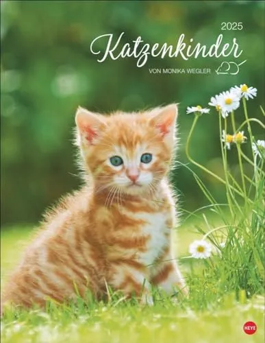 Katzenkinder Posterkalender 2025: von Monika Wegler. Unwiderstehliche Katzenbabys im Porträt. Ein großer Wandkalender mit vielen Fotos und Geschichten. Dekorativer Katzen-Kalender.