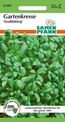 SAMEN PFANN Kräutersamen Gartenkresse, großblättrig - Kräuter-Samen Gewürz Saatgut Samen, Lepidium sativum