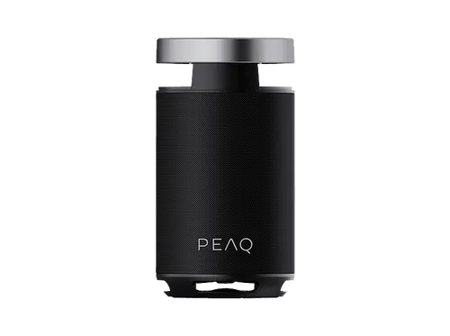 PEAQ PPS 170 Partyspeaker, Schwarz