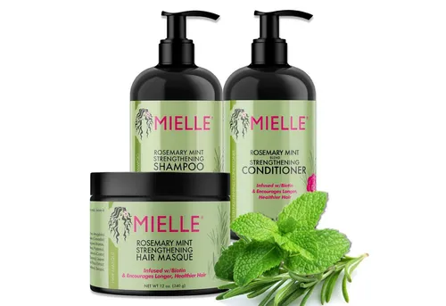 Mielle Organics Haarpflege-Set mit Rosmarin - Haarpflege-Set mit Shampoo, Conditioner, Maske und Öl aus natürlichen Inhaltsstoffen. Ideal zur Regeneration und Pflege für alle Haartypen. Bekämpft Schuppen und Haarausfall, sorgt für Geschmeidigkeit und Glanz.