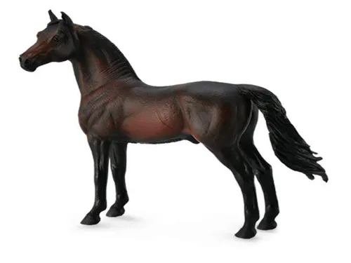 Collecta 88646 Morgan Hengst Bay 15 cm Pferdewelt