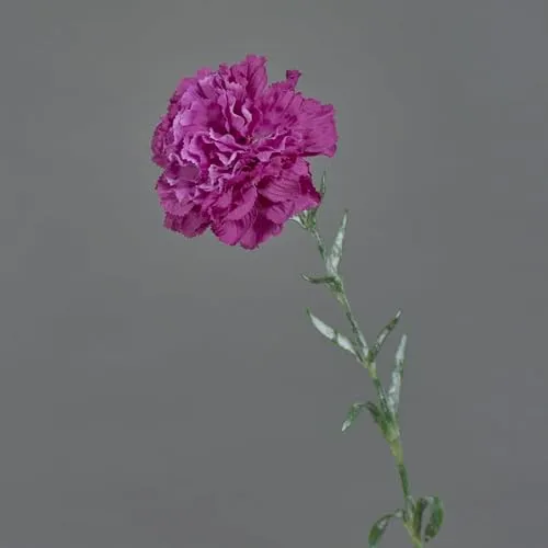 artplants.de Künstliche Nelke NIRUSHA, violett, 65cm - Kunst Nelken