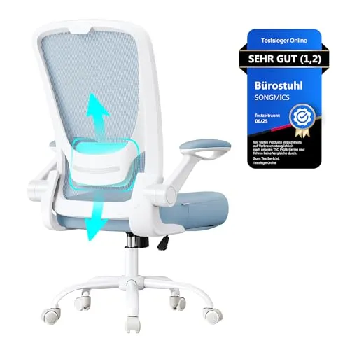 SONGMICS Bürostuhl ergonomisch, Drehstuhl mit Mesh, Lendenstütze, Wippfunktion, 53 cm große Sitzfläche, klappbare Armlehnen, Arbeits- und Schlafzimmer, Studenten, nebelblau OBN037Q01
