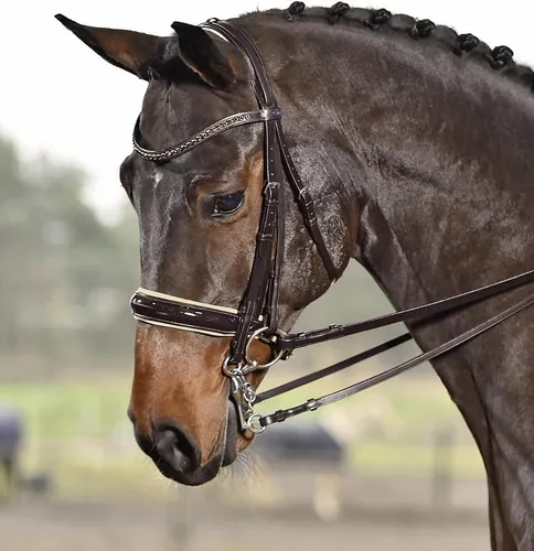 Busse Kandare LUXURY, Größe: Vollblut, Farbe: braun (creme)