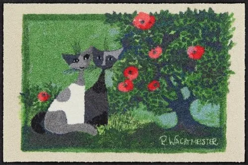 Salonloewe Fußmatte Adamo ed Eva 050x075 cm - Hochwertige Schmutzfangmatte aus 100% Polyamid, rutschfest und pflegeleicht. Ideal für Innen- und Außenbereiche, perfekt für Allergiker und Fußbodenheizung geeignet.