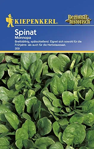 Spinatsamen - Spinat Monnopa von Kiepenkerl
