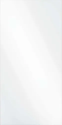 vidaXL Wandspiegel 50 x 100 cm von vidaXL