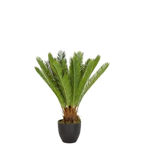 hjh OFFICE Kunstpflanze Cycas Palme 70 cm