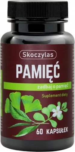 SKOCZYLAS Memory BAKOPA L-THEANIN GINGKOBA Konzentration 60 Kapseln