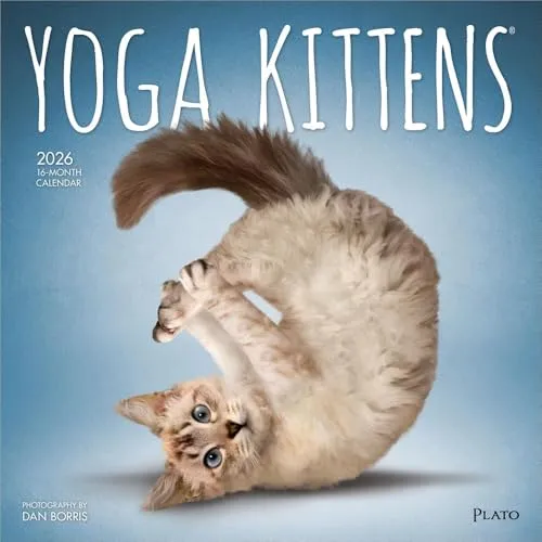 Yoga Kittens