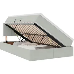 vidaXL Bett mit Stauraum und LED, Hellgrau 120 x 190 cm aus Samt
