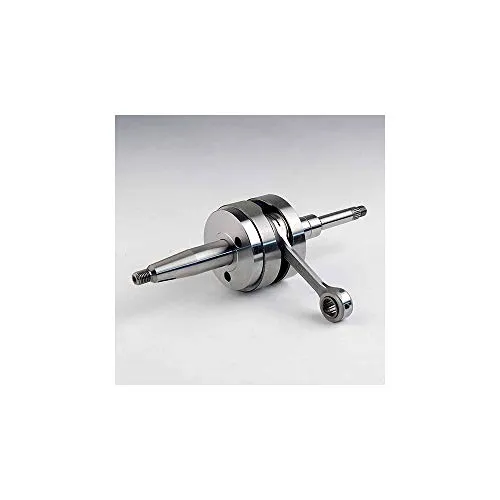 Motodak Kurbelwelle Roller Doppler Endurance Anpass. Ludix / Vivacity 3/Speedfight 3 ( Pumpe Luft