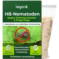 HB-Nematoden gegen Dickmaulrüssler und Engerlinge