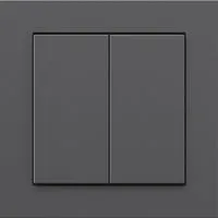 Senic Friends of Hue Smart Switch anthrazit (100158) in grau von Senic