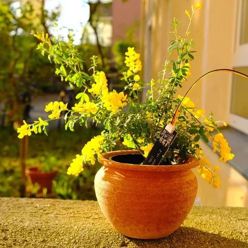 Kapazitiver Feuchtigkeitssensor, Feuchtesensor mit Kabel für Erde, Soil, Arduino