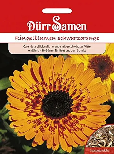 Ringelblumen Samen schwarzorange Ringelblumensamen Heilpflanze Kräuterpflanze Bienenfreundlich cam120 Korn Saatgut Garten Hochbeet Kübel Dürr Samen