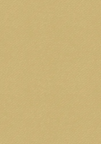 Heyda 204720191 Bastelkarton Uni A4 220g gold