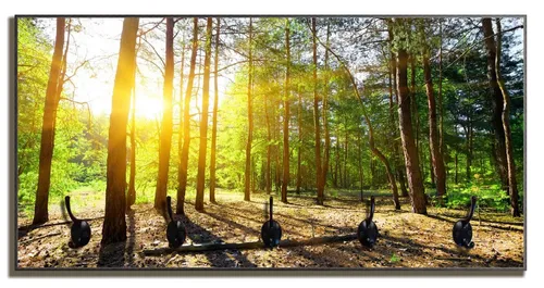 Wallario Garderobenpaneel Sonnenstrahlen tief hinter dem Wald (1-teilig, inkl. Haken und Befestigung), 80x40cmHolz