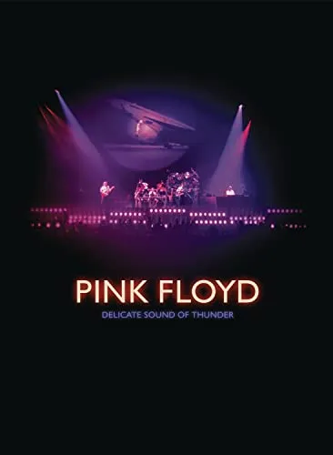 Produktbild DELICATE SOUND OF THUNDER