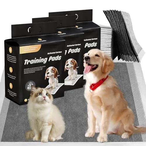 Nanipets® Trainingspad für Hunde – Superabsorbierende & Auslaufsichere Pipi-Pads, 45 x 60 cm, 150 Stück - Unsere Trainingspads für Hunde bieten dank eines 6-lagigen Designs überlegene Saugfähigkeit und verhindern Auslaufen. Ideal für saubere Böden und vielseitig einsetzbar, z. B. für Transportboxen oder Katzentoiletten.
