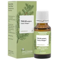 Thuja Extern Tinktur Pflüger