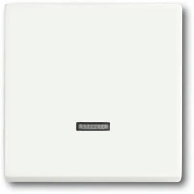 Busch-Jaeger 6543-884-101 Bedienelement mit Glimmlampe - Smart Home Bedienelement in Studioweiß Matt, ideal kombinierbar mit verschiedenen Dimmern und Relais, für eine moderne und flexible Haussteuerung.