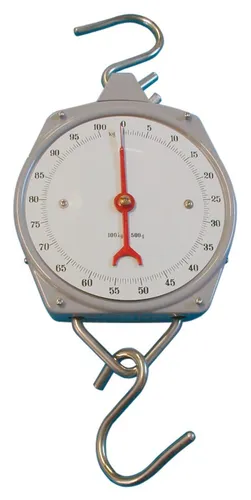 Waage Hängewaage Zeigerwaage Zeigerschnellwaage 100 kg NEU