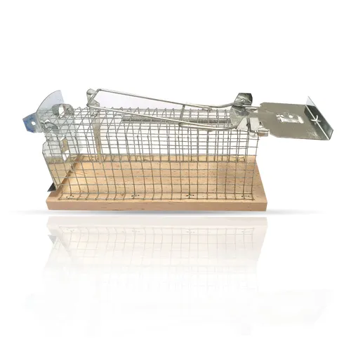 Bestlivings Mausefalle 15 x 6 cm