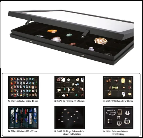Mineralien Fossilien Sammelkassette Echt-Holz SAFE 6880 NOVA FLEX - Vitrinen für Mineralien und Fossilien in edlem Holzdesign, ideal zur stilvollen Präsentation und Aufbewahrung Ihrer Sammlerstücke.