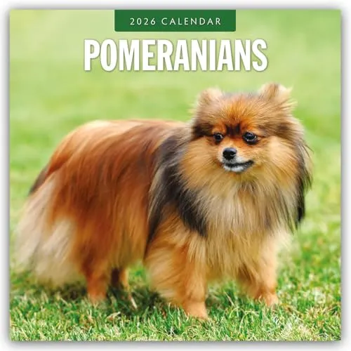 Pomeranians