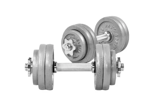 GORILLA SPORTS Kurzhantel 2er Set, 12 Hantelscheiben, 30mm, Gusseisen, Rutschfest - Kurzhanteln