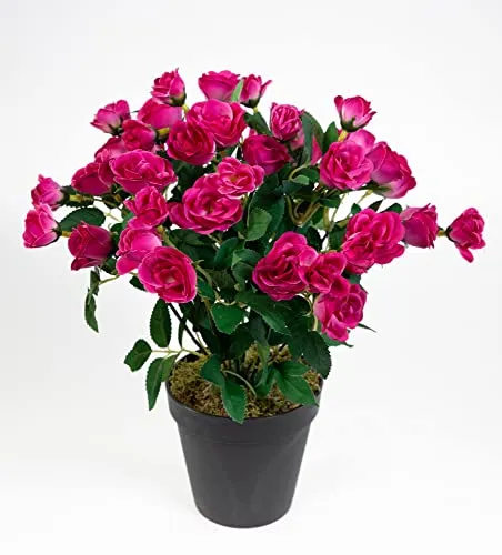 Seidenblumen Roß Rosenbusch 30cm Fuchsia im Topf ZF Kunstpflanzen Kunstblumen künstliche Blumen Rosenstrauch Rosen