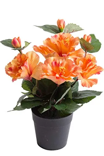 Nova-Nature künstlicher Hibiskus mit 5 Blütenköpfen im schwarzen Kunststofftopf (pfirsich-lachs)