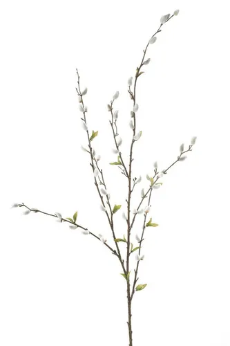Kunstblume Weidenkätzchen, Emerald, Höhe 120 cm, Farbe: Weiß, Höhe: 120cm