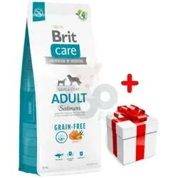 BRIT CARE Grain-free Adult Salmon 12kg - Premium Hundefutter - Getreidefreies Trockenfutter für ausgewachsene Hunde kleiner und mittelgroßer Rassen, mit Lachs für gesunde Haut und glänzendes Fell.