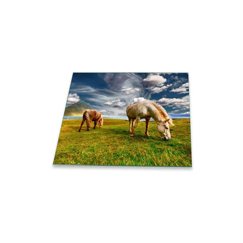 Herdabdeckplatte Ceran 1 teilig 60x52 Pferd Grün Abdeckung Glas Spritzschutz