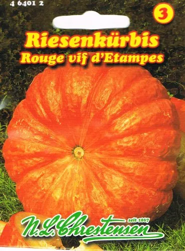 Riesenkürbis Rouge vif d'Etampes Kürbis