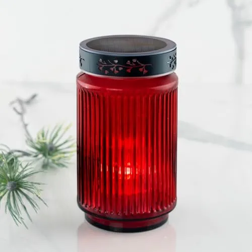 HOFER KERZEN LED Solar Grablicht aus Glas in rot von Hofer Friedlicht