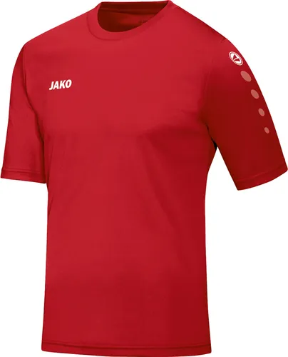 Trikot Team KA JAKO
