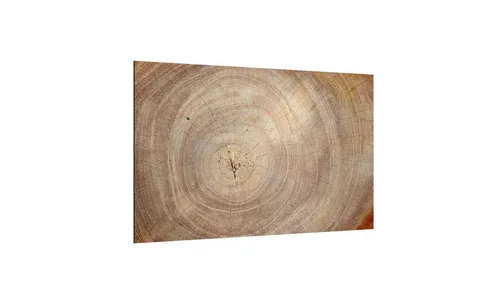 ALLboards Glas Magnettafel Baumstamm 60x40cm - Poster & Kunstdrucke – Hochwertige Glas Magnettafel mit realistischem Baumstamm-Motiv, ideal zum Beschriften und Anheften von Notizen oder Bildern.