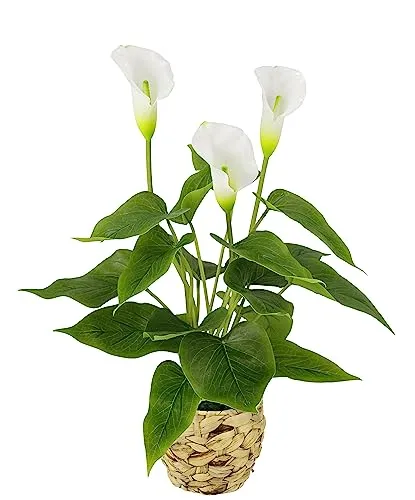 Kunstblume Calla im Topf von Flair Flower