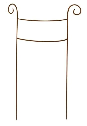 TrendLine Pflanzstütze 60cm rostoptik, 37 x 8 x 60 cm Pflanzenbinder & -stützen